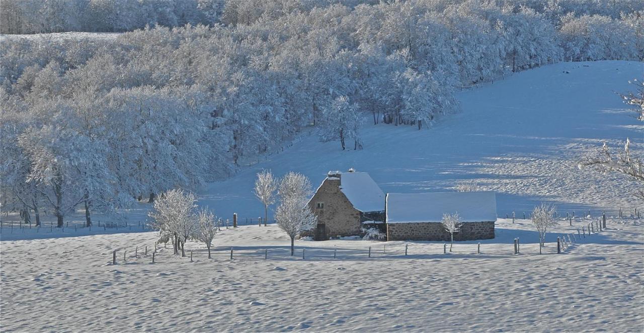 Bed and Breakfast Aux Portes D'Aubrac Studio 2 Personnes Condom-d'Aubrac Zewnętrze zdjęcie